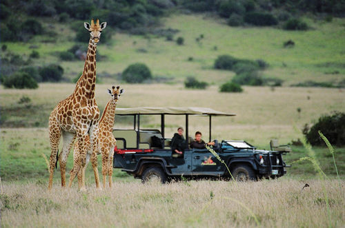 Amakhala Safari Lodge Paterson Eksteriør bilde