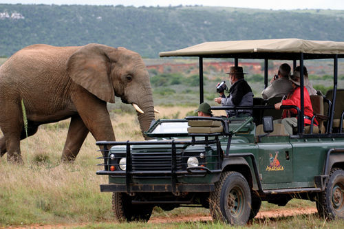 Amakhala Safari Lodge Paterson Eksteriør bilde