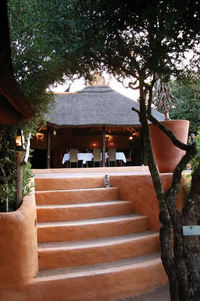 Amakhala Safari Lodge Paterson Eksteriør bilde