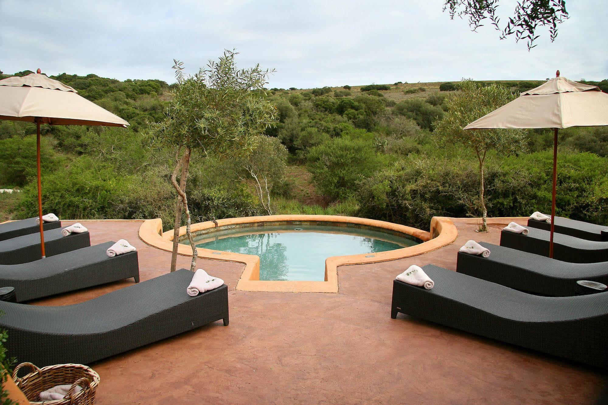 Amakhala Safari Lodge Paterson Eksteriør bilde